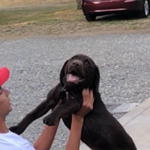 Meet your Posher, Tanner